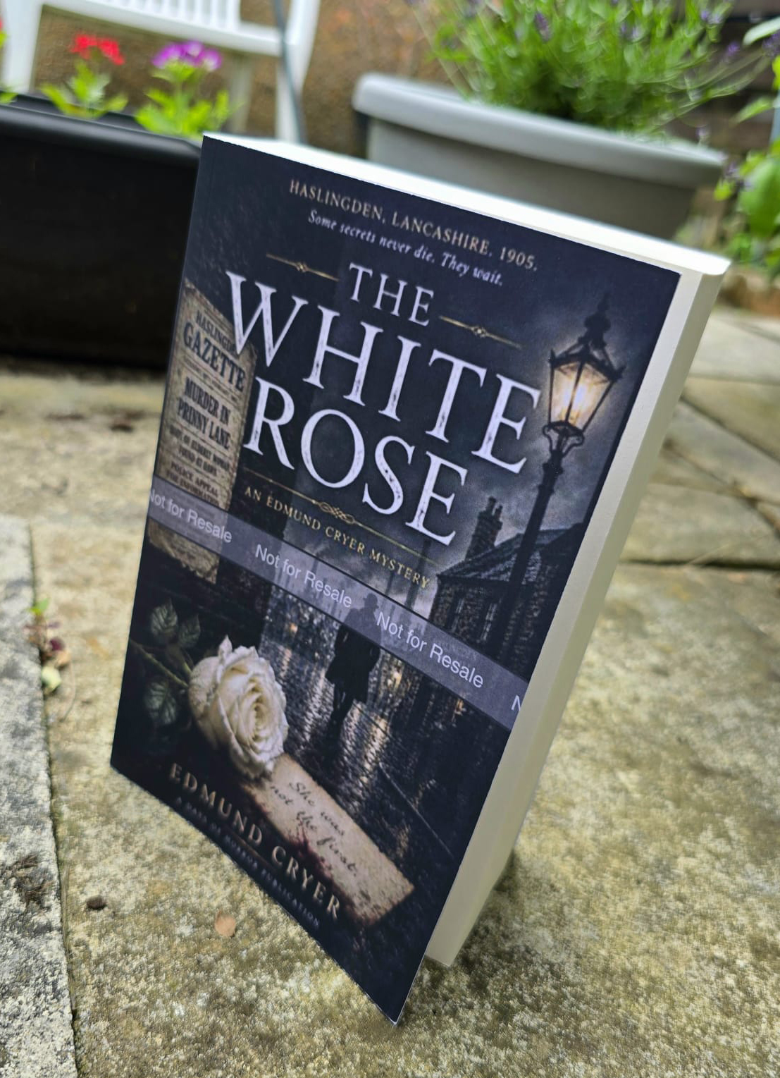 The White Rose Collection